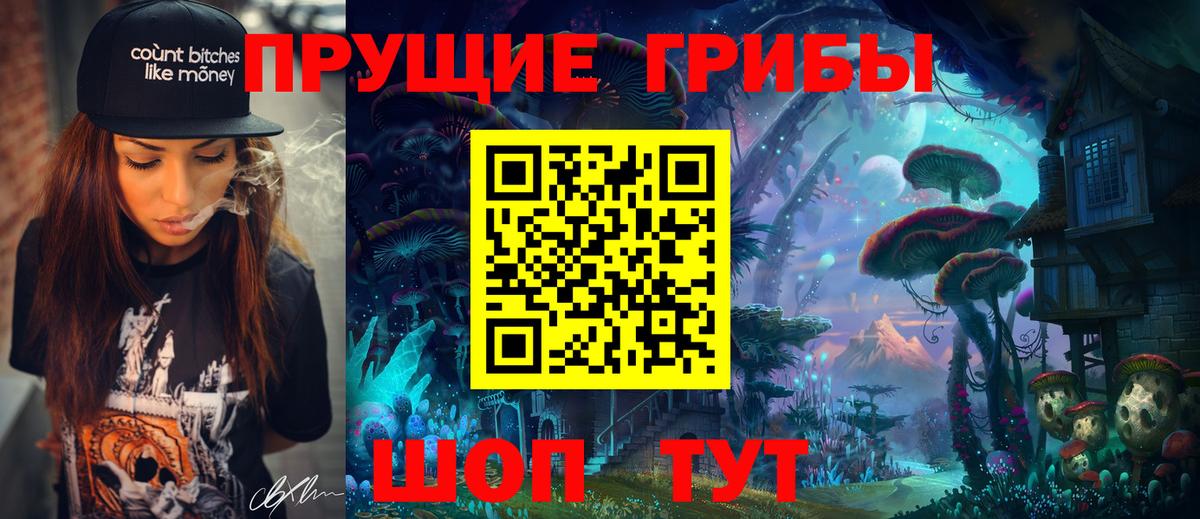 Шахты  купить наркотики сайты  Вход с VPN  Псилоцибиновые грибы Psilocybine cubensis 